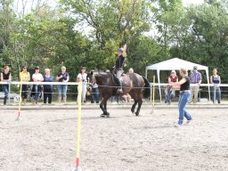 IMG_1385_web
